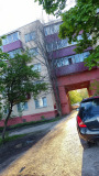 Курск - Высохшее дерево
