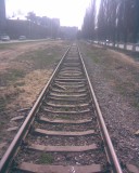 Королев - Болшево -- Торфопредприятие - 6